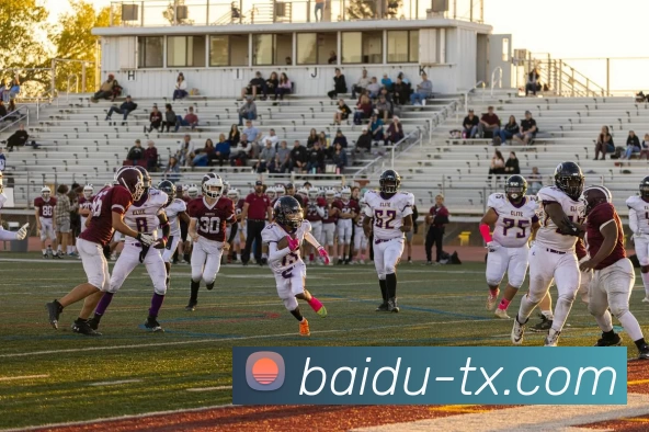 天行体育平台生态图